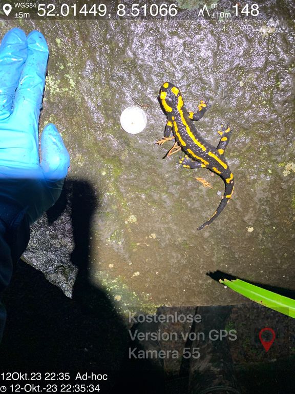 a4d4dcf3-72ab-42f9-8f3b-30650b8f1a64