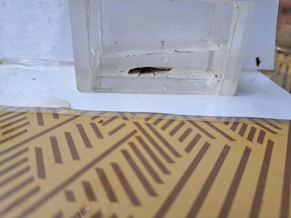 83a1a6d2-1f5d-4464-b81a-868762929a01