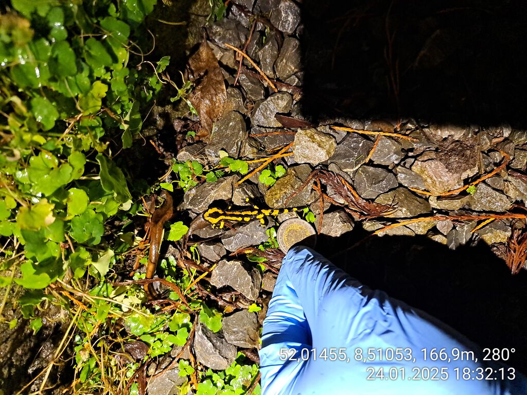 1f05f20f-8339-4cd5-9a9b-f9276b62e8b1