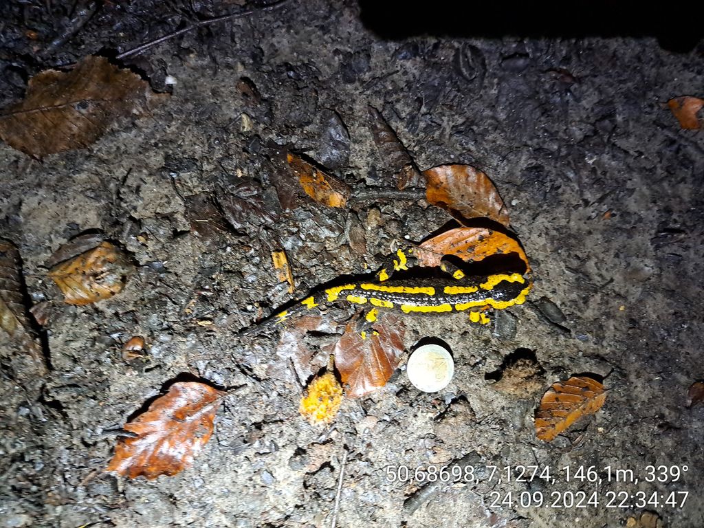 ffd98187-e4c1-419e-8bb4-805bbde2b160