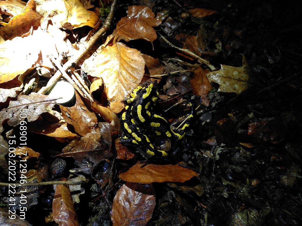 410e008b-6390-40de-b8d5-113918edb800