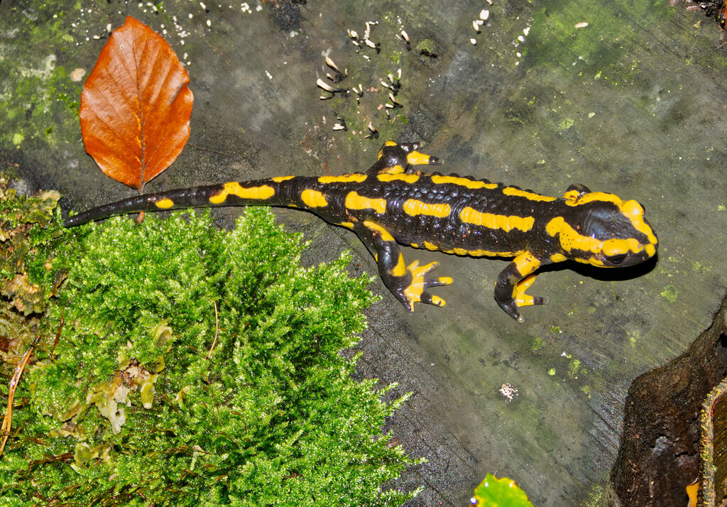 7d523f44-0470-4beb-905b-5e78564e10a8