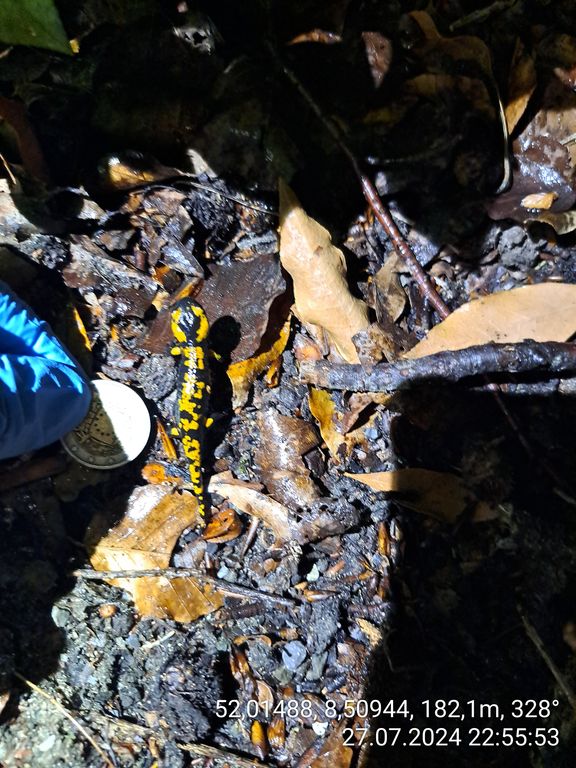 a5e83454-eace-4af1-9443-c6fa5cce0704