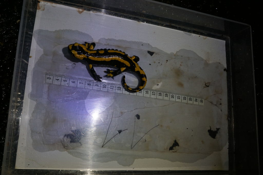 d86f8dcf-6a39-4797-b94f-8084c6c6cda6