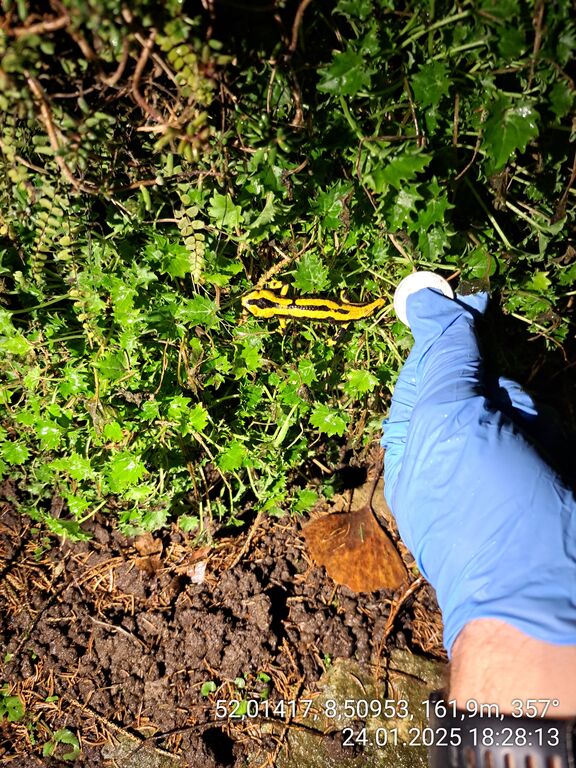 889399fe-a748-471f-b0d5-4aeead0230d3