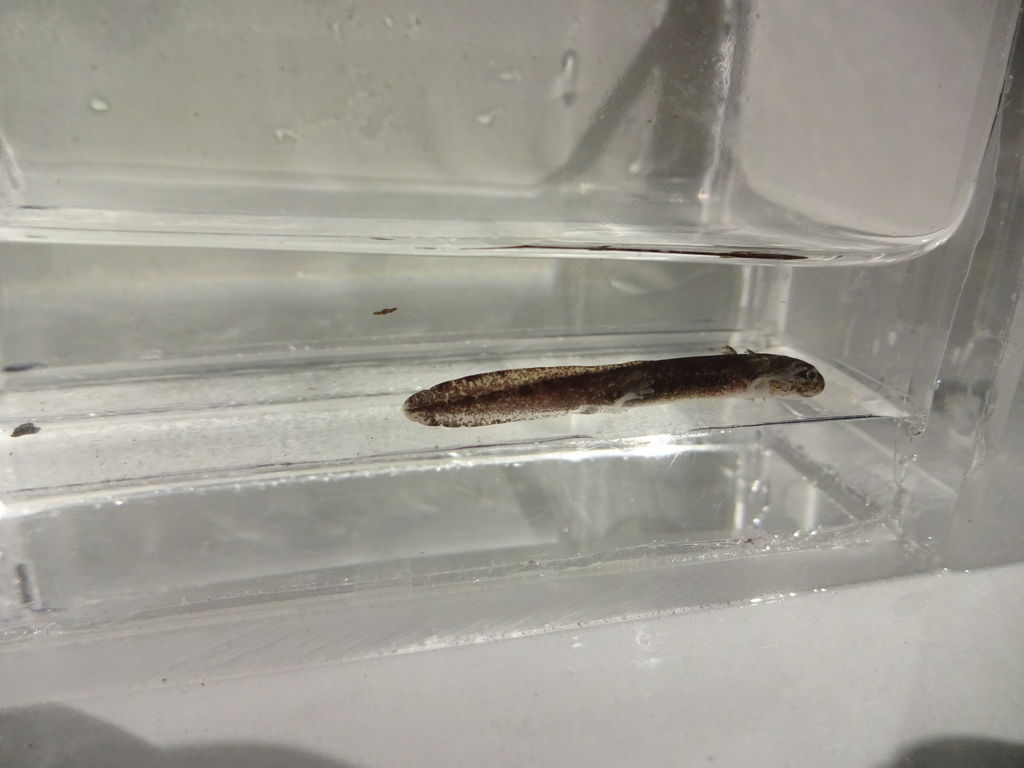 035c60af-e380-4f73-a36e-8777111aa147