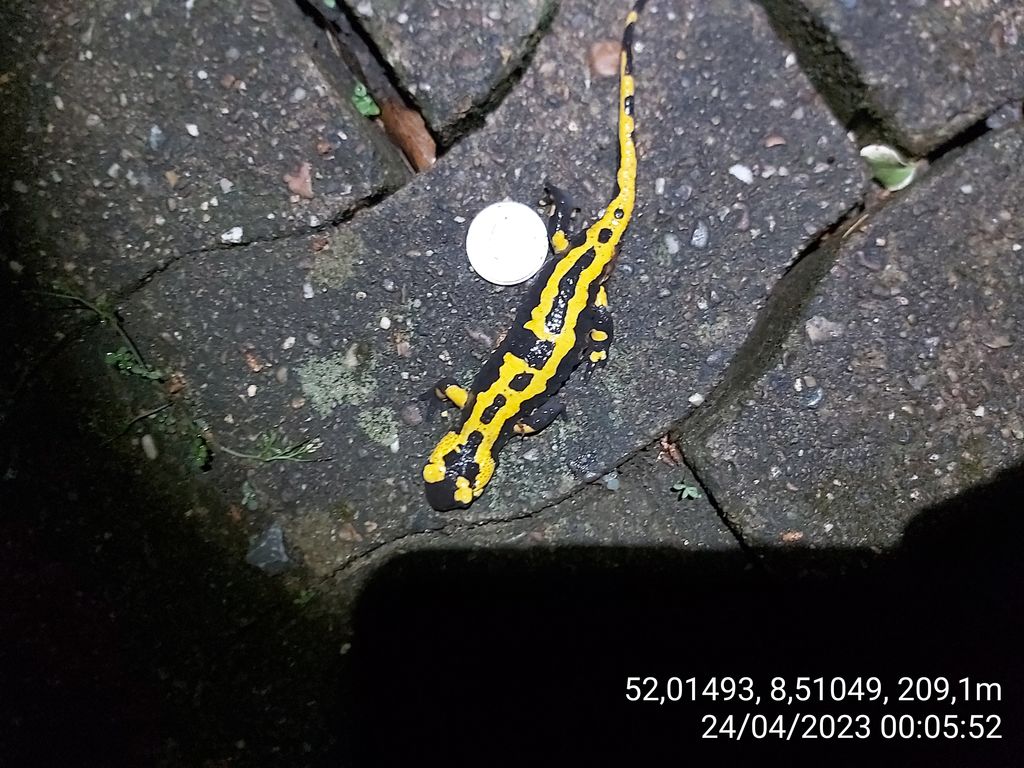 b5d56151-1017-43c9-ae8f-df486e05a54d