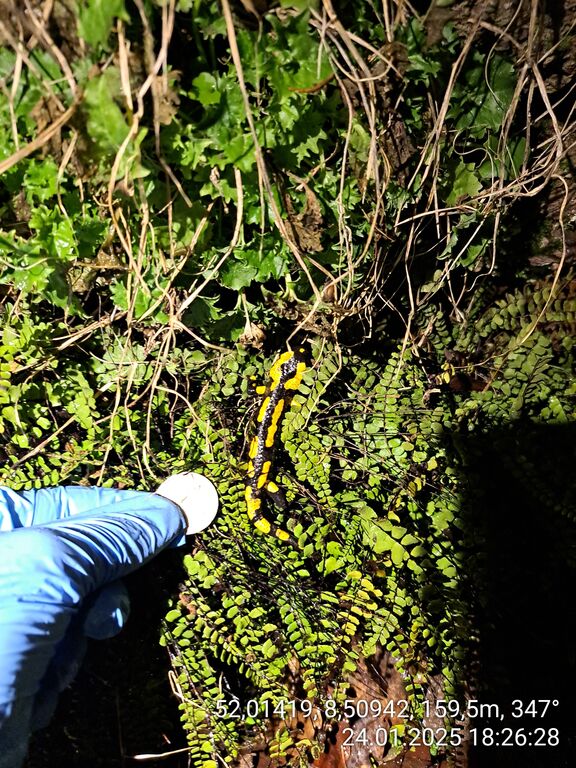 18916701-df8c-4d31-8e7e-17a08607276a