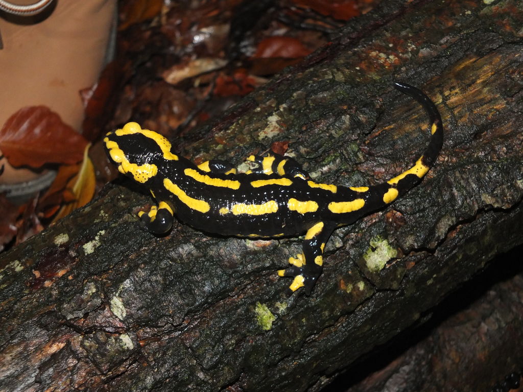 7d523f44-0470-4beb-905b-5e78564e10a8