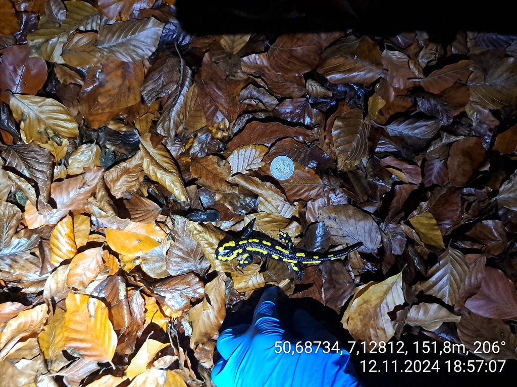 f94c50fe-0877-41d6-842b-035e51e3ebbd