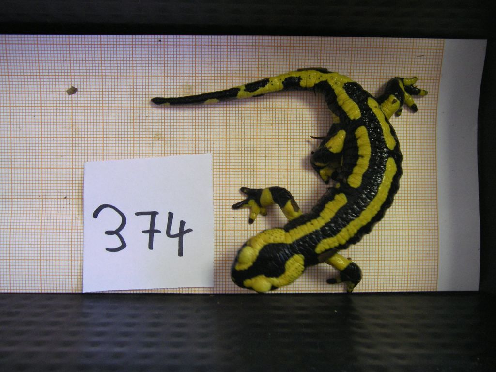 0e474b0a-287f-4f1c-8884-74e21f94a208