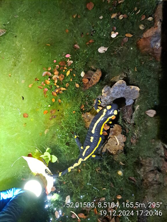 b50d5c2c-4480-40ad-b724-332a822a4221