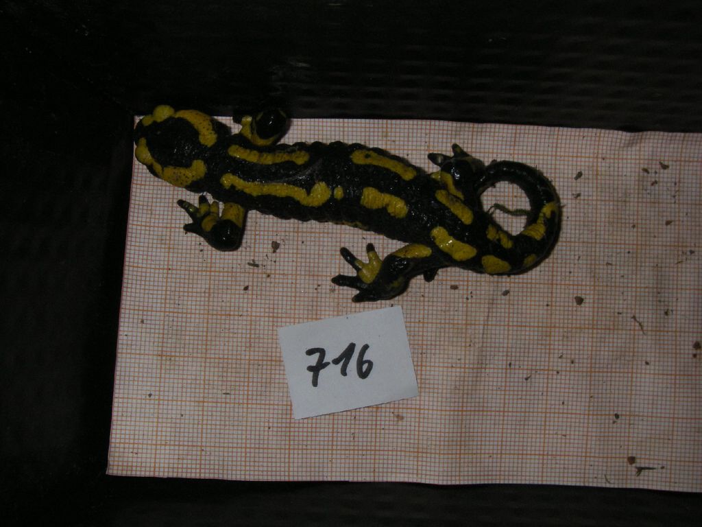 98c4812c-b602-4c27-ab8a-ca1ee6ce4e4e