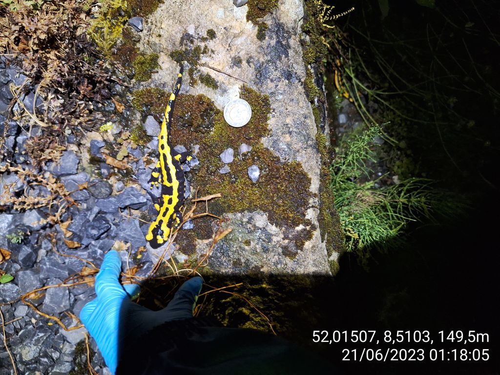 b5d56151-1017-43c9-ae8f-df486e05a54d