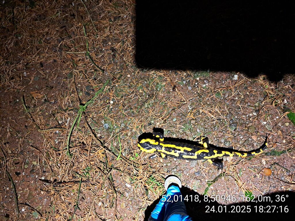 abda4e61-ea8e-4800-9942-07465d85b049