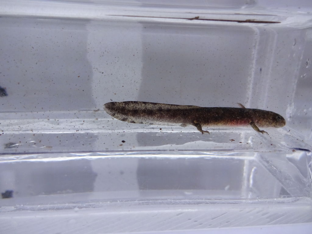 00bdea52-bb58-4d7d-a48f-8d995af96a89