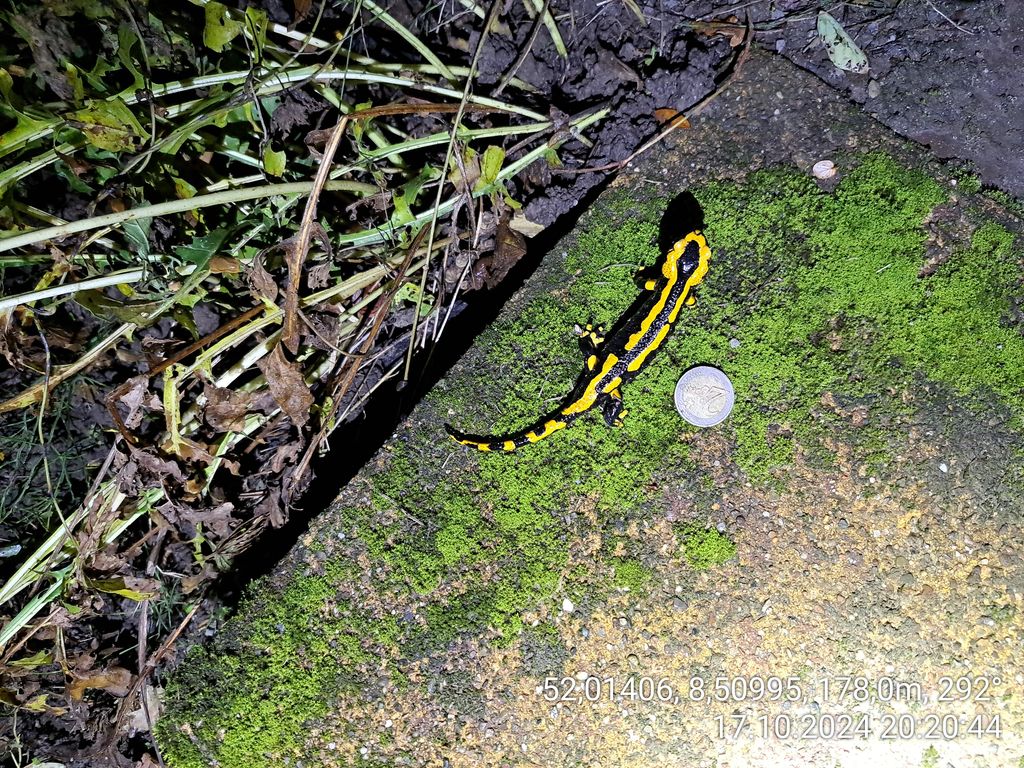 1bf9e621-0544-46e7-b1c4-1c97536eea12