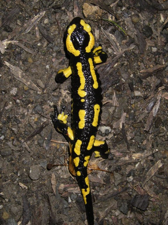 98c4812c-b602-4c27-ab8a-ca1ee6ce4e4e