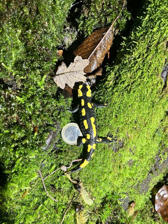 c745eb28-2ef5-4e95-953a-3eaa18c0c344