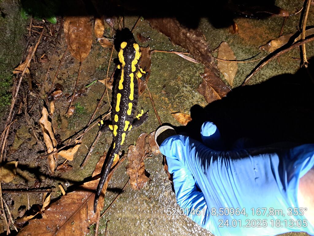 b0b3c7b3-9bb5-4a87-ae84-2aaf73fb7fe9