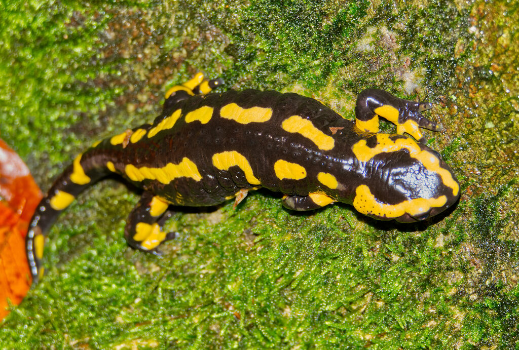 1daa078e-dd1f-4cd4-8be3-1bd5eff8eadd