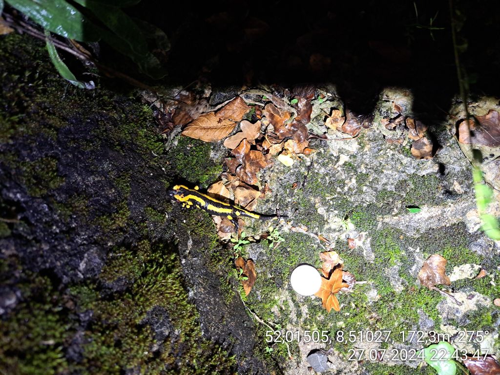 2aae894e-8034-4278-bb55-cd655a6565b0