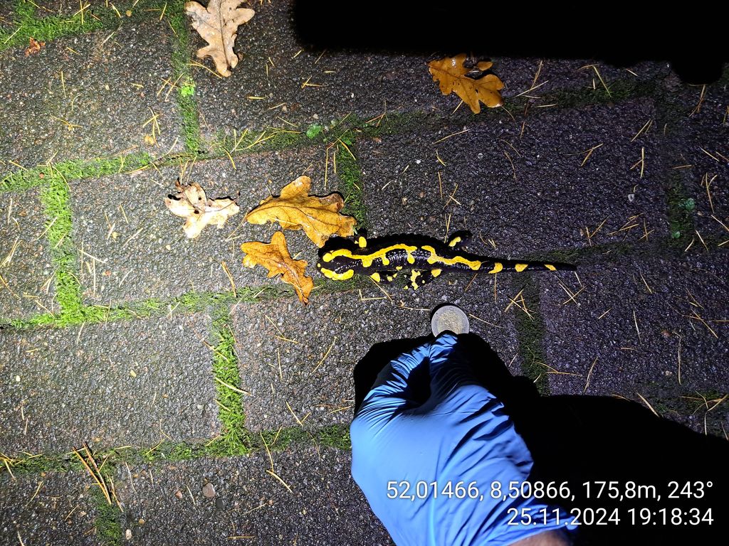 e90abb4c-c28c-424c-bf7d-6bba3dbe0324