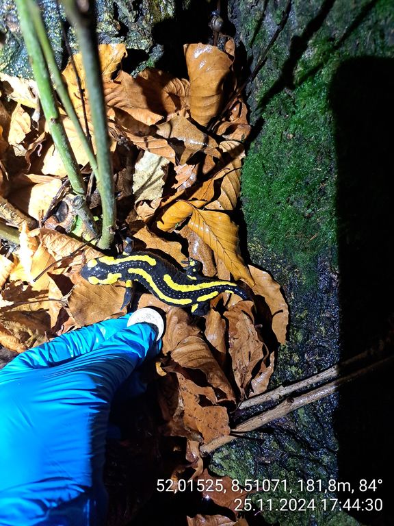 48bad6cc-5e5e-4d03-8d00-c4afdcf5b8d5