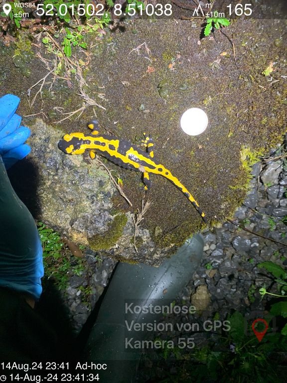 b5d56151-1017-43c9-ae8f-df486e05a54d