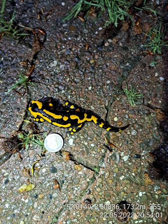 e7e0a1e9-991c-44fb-b25d-06b8650658ef