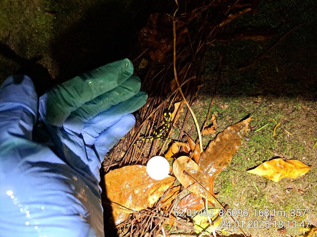 61f3ee7c-c743-4167-a7a3-5ad76bab86d6