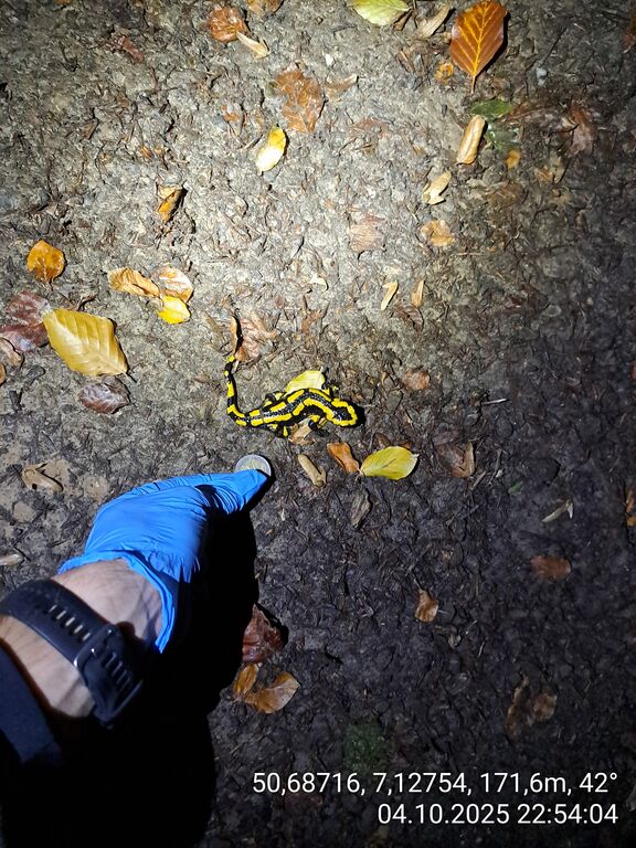 34dba8ce-d0da-4673-b27e-c7752e253bdf