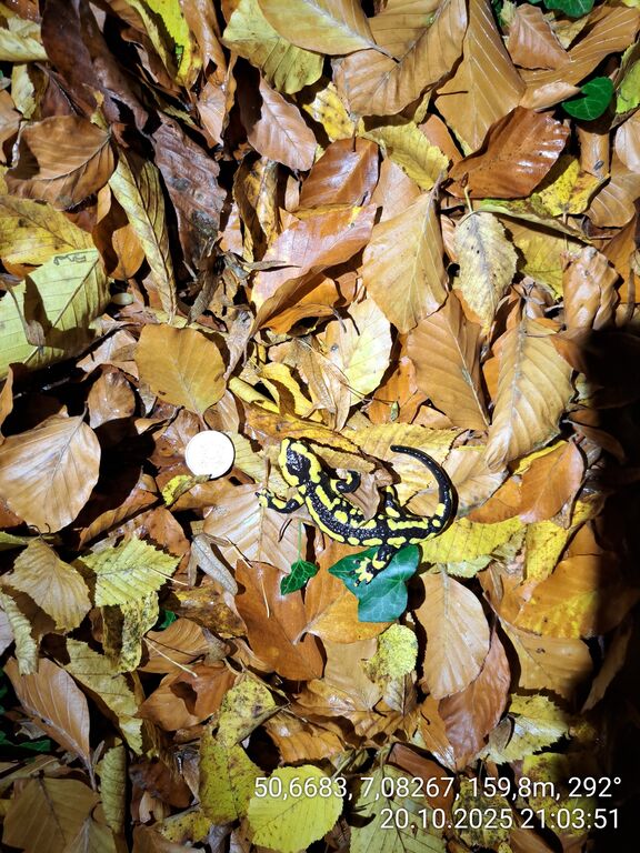 271d89be-8e50-4371-b329-d6b6f55ed83e