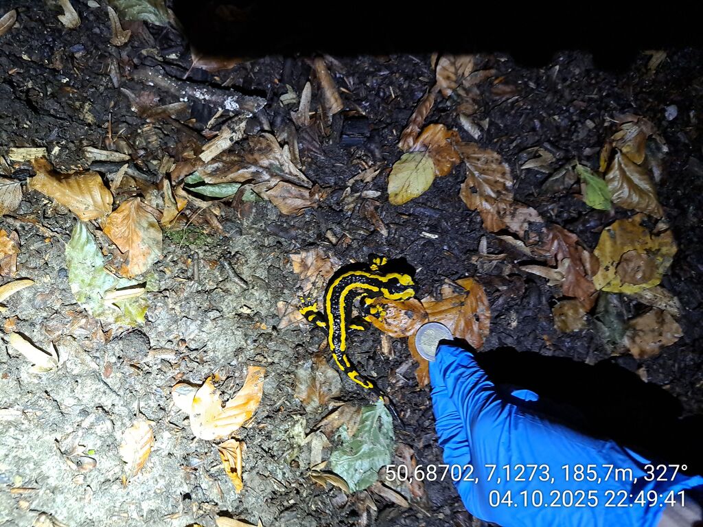 689c7f7d-45c5-477a-9b22-61d7e646d755