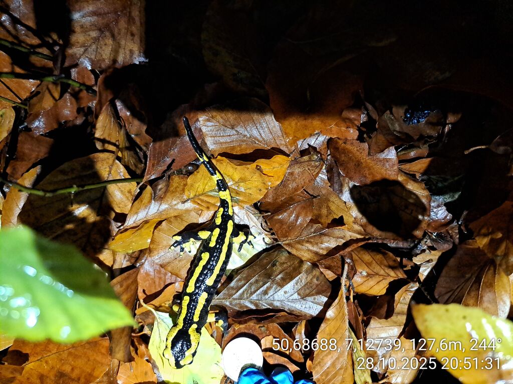 ffd98187-e4c1-419e-8bb4-805bbde2b160