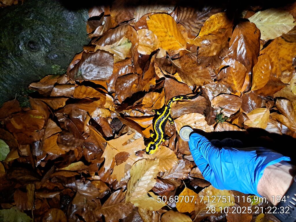 689c7f7d-45c5-477a-9b22-61d7e646d755