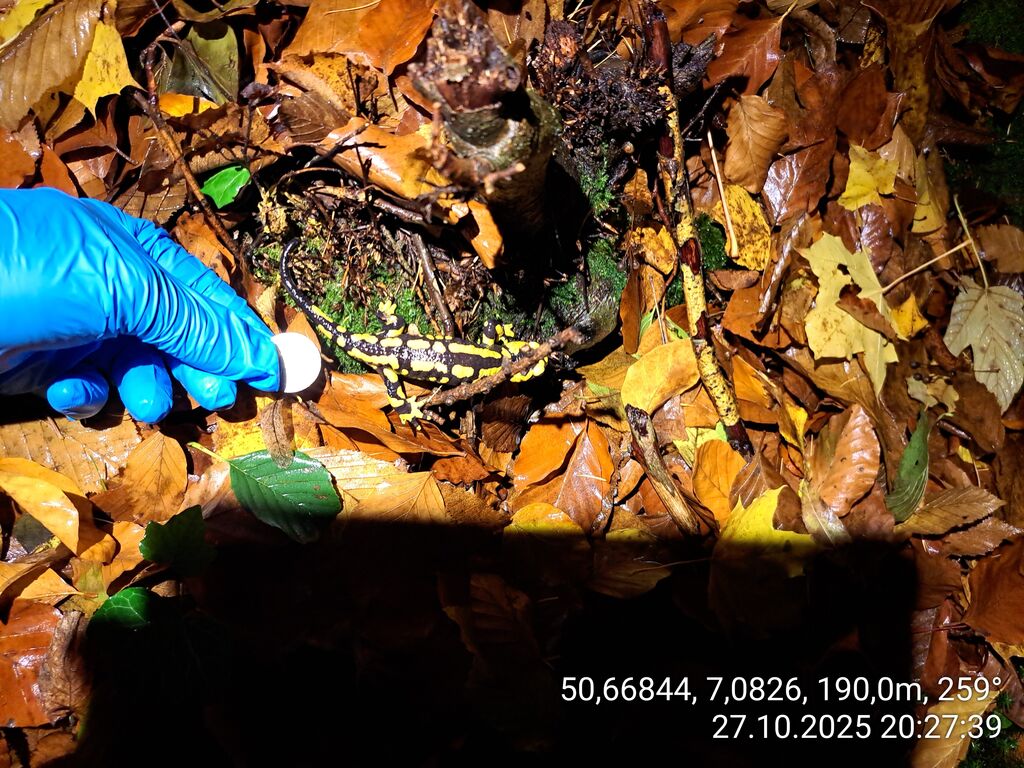 271d89be-8e50-4371-b329-d6b6f55ed83e