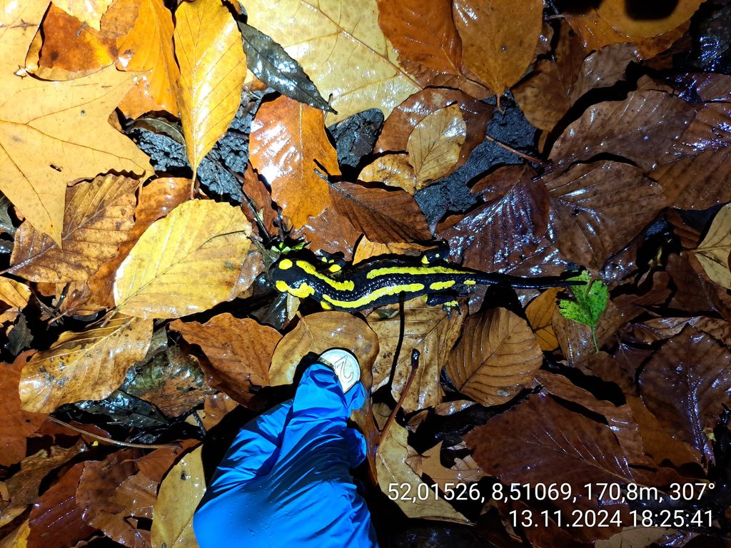 48bad6cc-5e5e-4d03-8d00-c4afdcf5b8d5