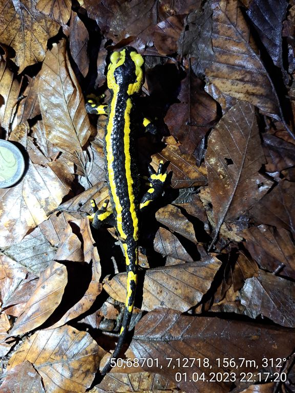 689c7f7d-45c5-477a-9b22-61d7e646d755