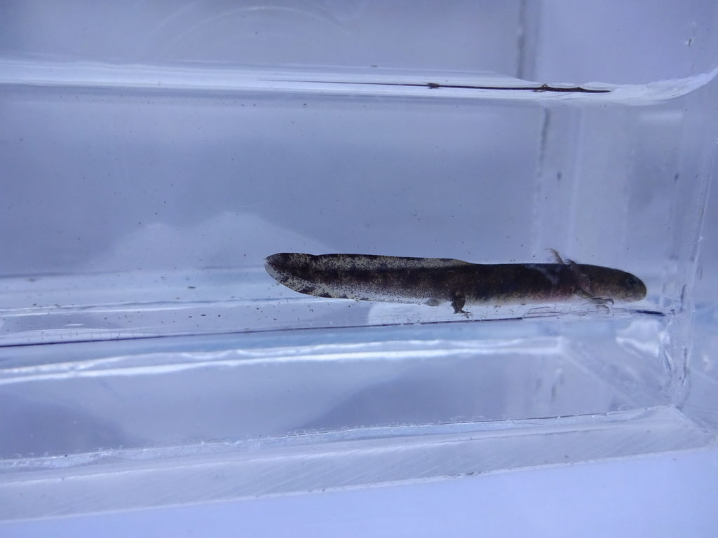 00bdea52-bb58-4d7d-a48f-8d995af96a89