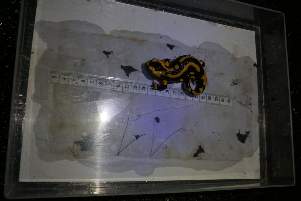 d86f8dcf-6a39-4797-b94f-8084c6c6cda6