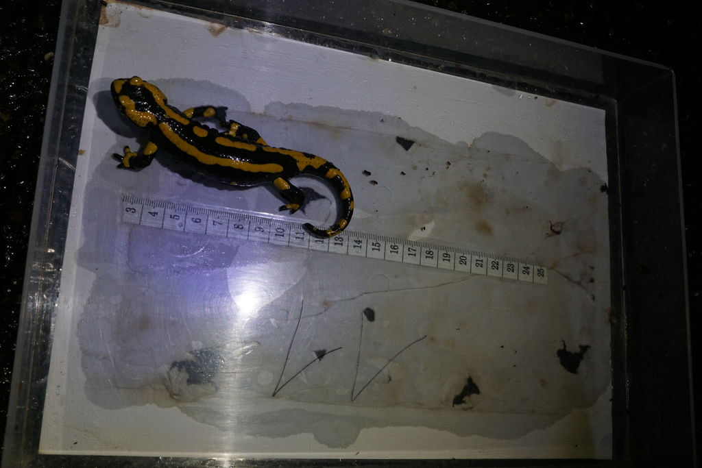 d86f8dcf-6a39-4797-b94f-8084c6c6cda6