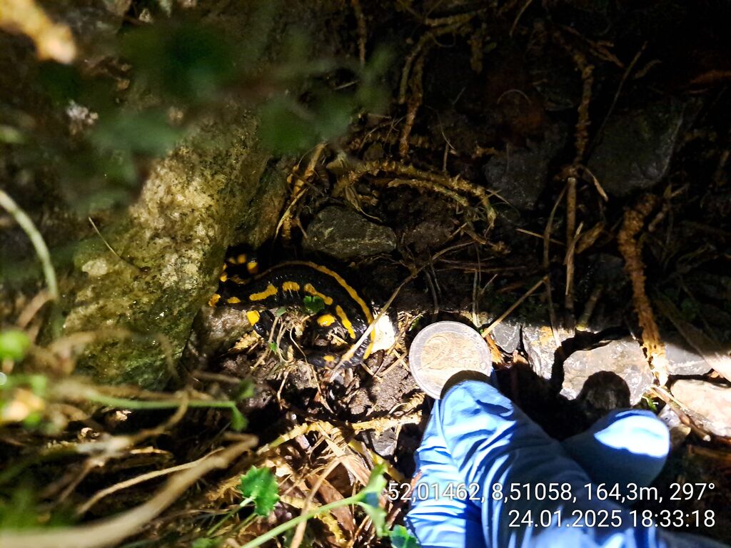 3930c9b6-ebc1-4acc-846b-b0e23b18d30f