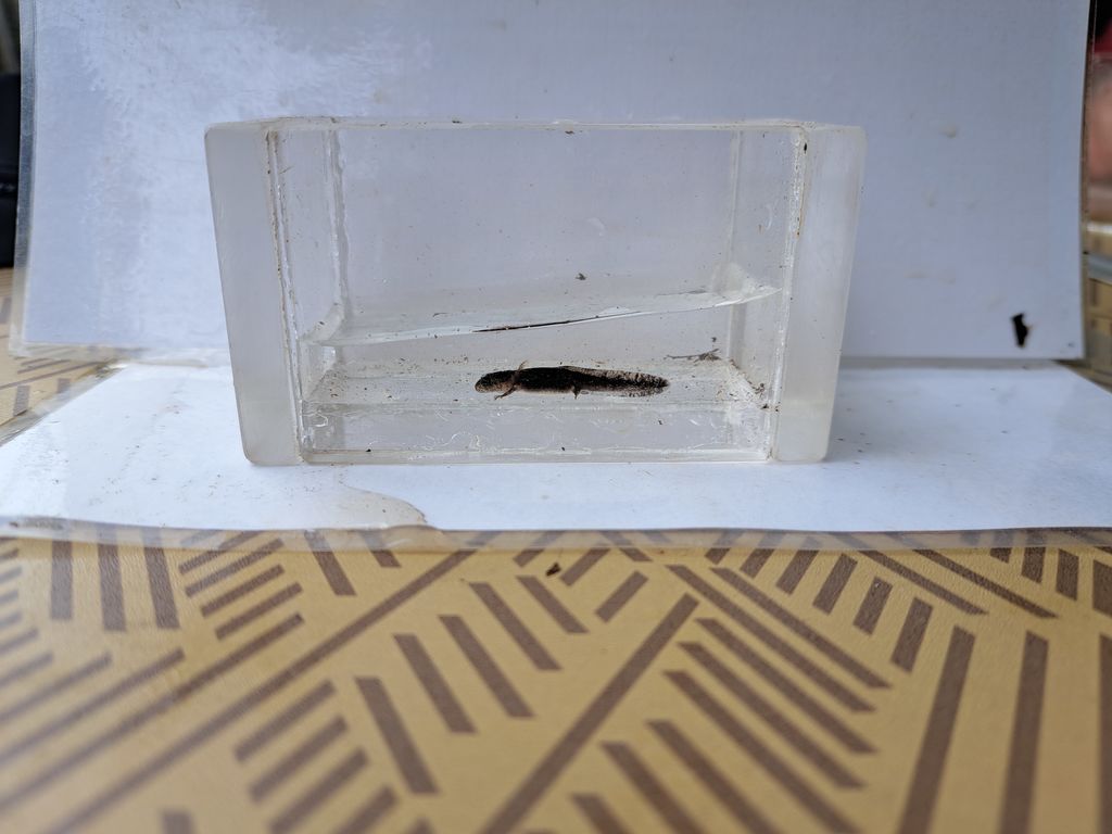 1a6f9805-cd77-4e2c-add5-1a64247e6651