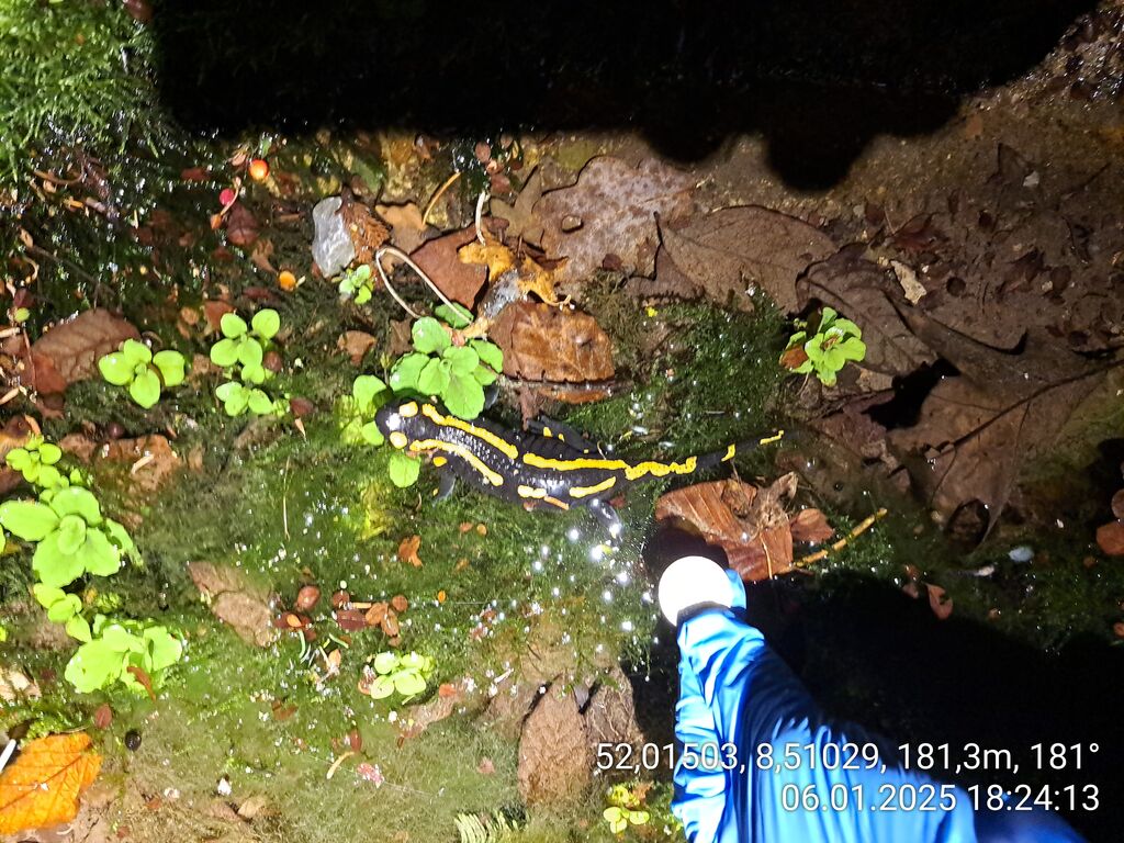 b50d5c2c-4480-40ad-b724-332a822a4221