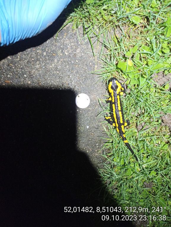 d9cc2a5f-89f4-4f4f-abcb-873c66810a24