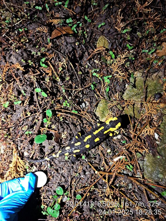 99be3adc-27f3-4213-ac95-bc5259b7009d