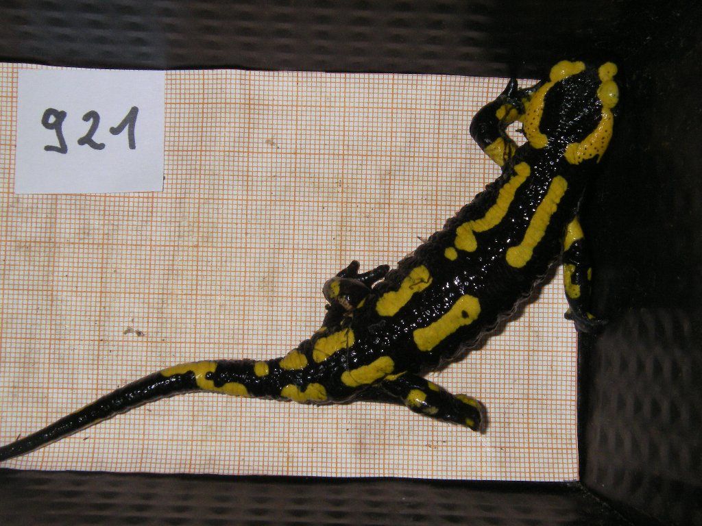 98c4812c-b602-4c27-ab8a-ca1ee6ce4e4e