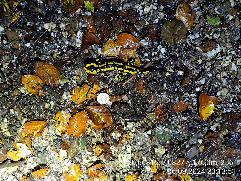 271d89be-8e50-4371-b329-d6b6f55ed83e