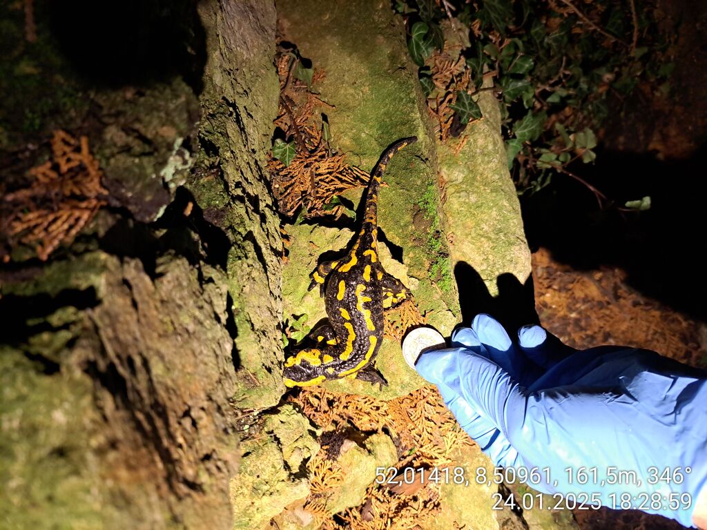 00df8e1a-1cda-4542-84e4-d73690b5b520